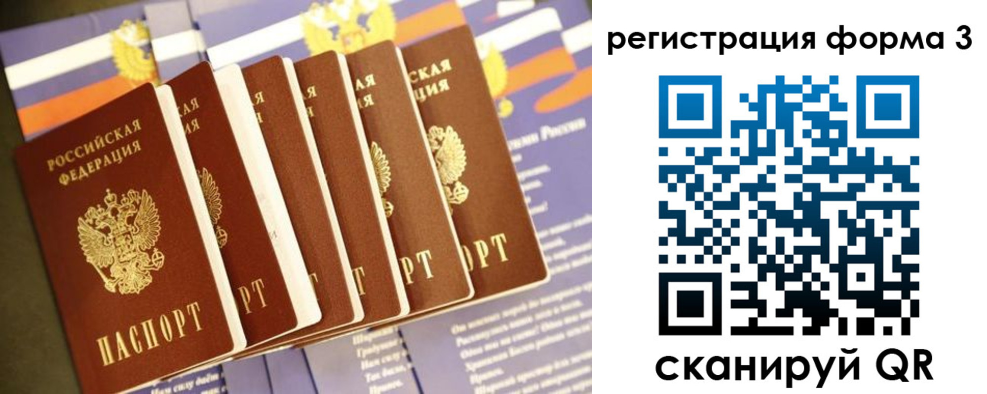 прописка поиск в Вологде