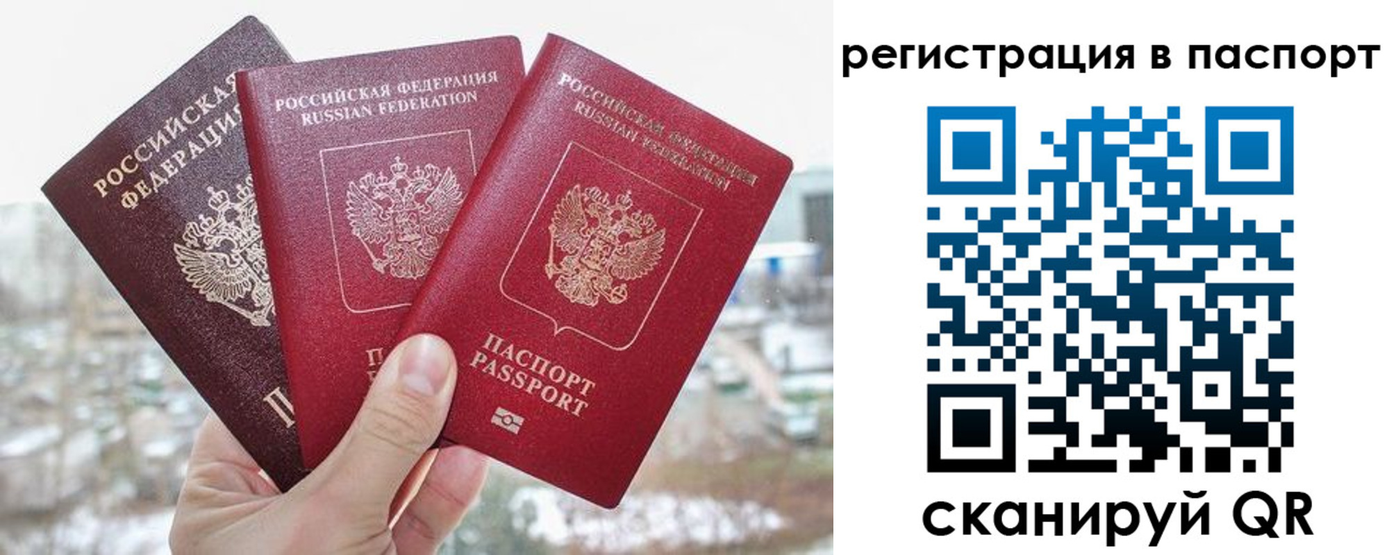 регистрация для школы в Вологде